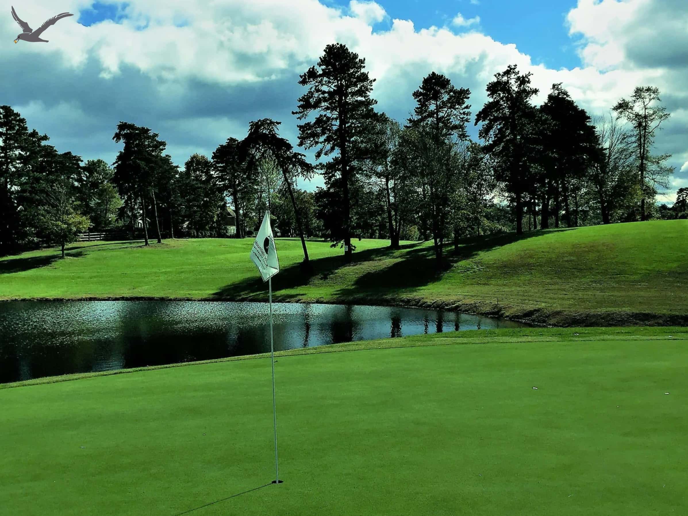 দ্য অ্যালবাট্রস স্পোর্টস: 10টি ফাস্ট ফ্যাক্ট টু কাউন গলফ (পর্ব 1)